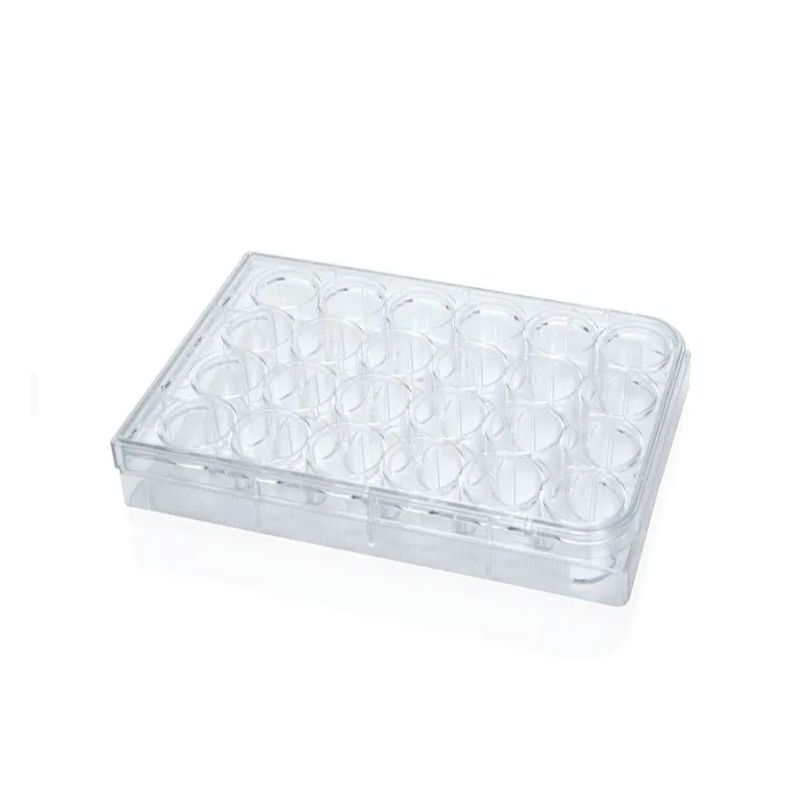 Stemcell 38017 Costar® 24-Well Flat-Bottom Plate, Tissue Culture-Treated