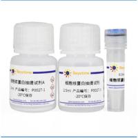 Beyotime碧云天P0027细胞核蛋白与细胞浆蛋白抽提试剂盒
