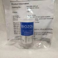 Dianova Anti-IDH1 R132H / DIA-H09 Mouse monoclonal anti-brain tumor marker (Astrocytoma, Oligodendroglioma), Clone H09