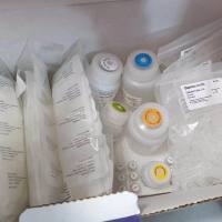 Thermo Scientific K0722 GeneJET基因组DNA纯化试剂盒