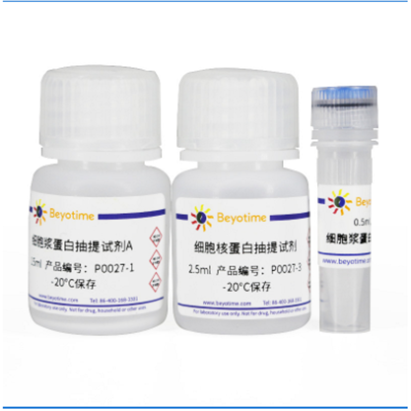 Beyotime碧云天P0027细胞核蛋白与细胞浆蛋白抽提试
