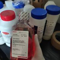 总蛋白提取细胞裂解缓冲液