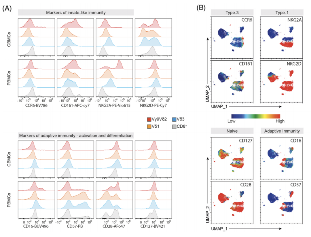 Big Panel Theory系列之—28色γδT高维分析方案再现scRNA-Seq分群效果