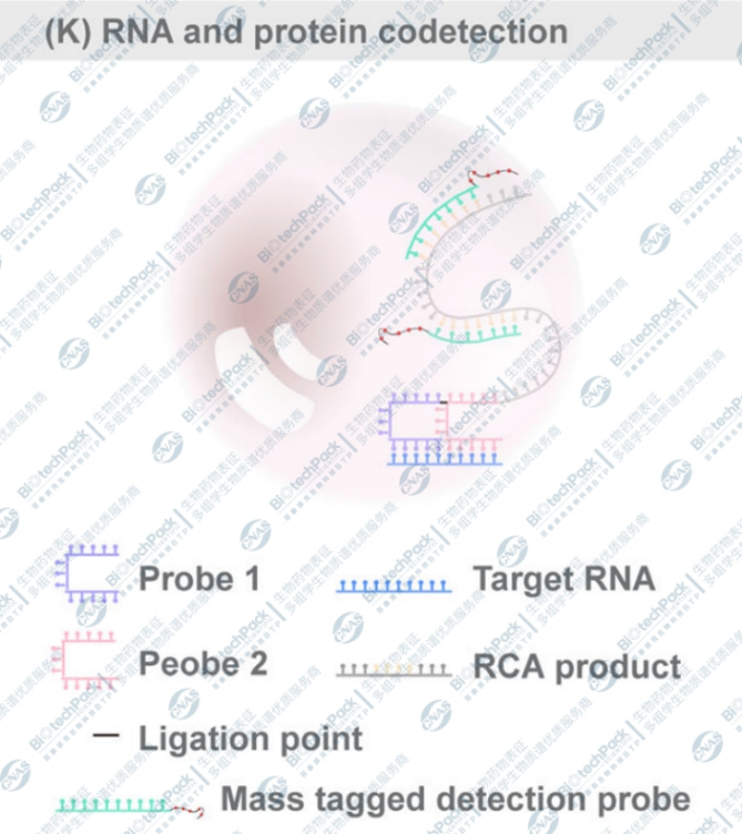 技术资料图片11