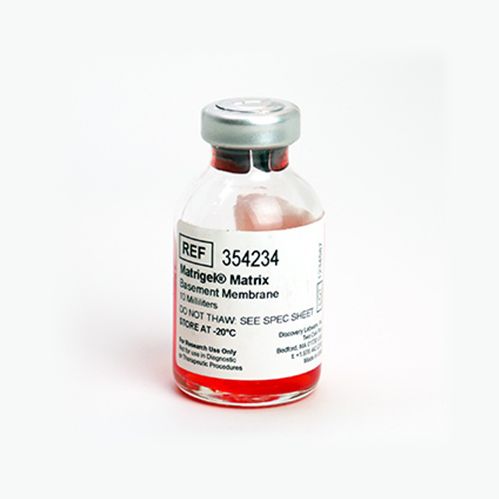 BD Biocoat 354234 Matrigel 基质胶，LDEV-free