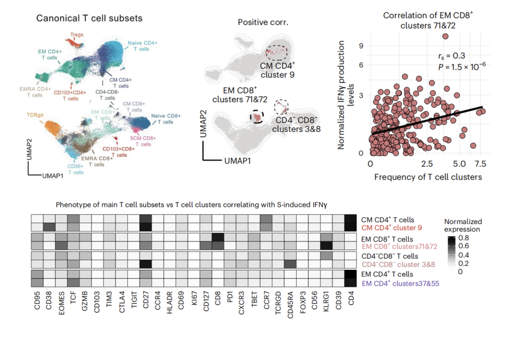 Nature Immunology | 新冠序贯接种方案诱导免疫应答差异全面分析