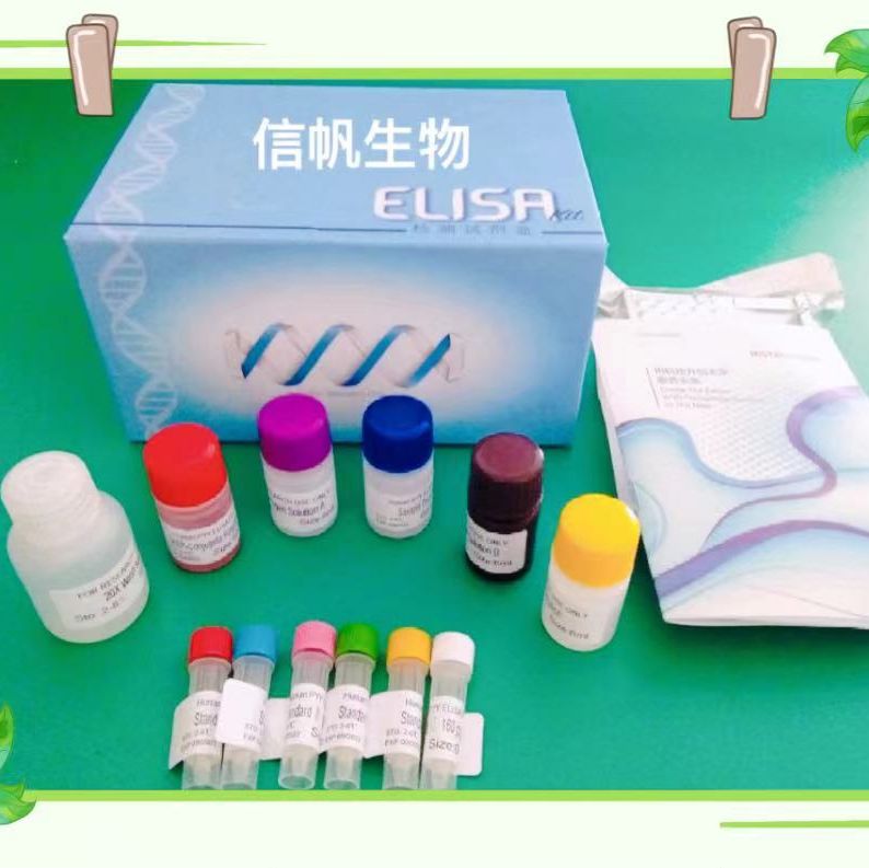 人白细胞介素6(IL-6)elisa试剂盒
