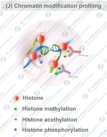 技术资料图片10