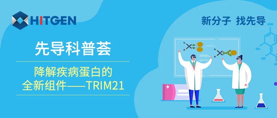降解疾病蛋白的全新组件——TRIM21