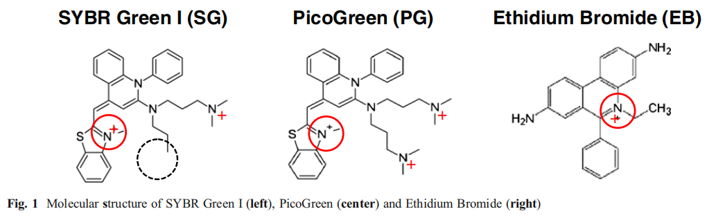 核酸染料小知识
