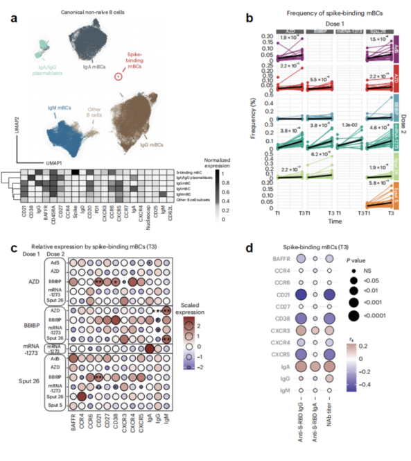 Nature Immunology | 新冠序贯接种方案诱导免疫应答差异全面分析