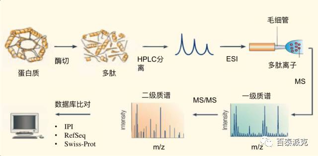 技术资料图片2
