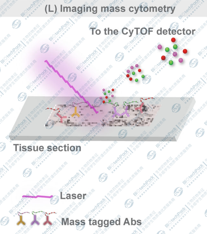 技术资料图片12