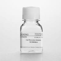 BD Biocoat 354253 细胞回收液, Cell Recovery Solution