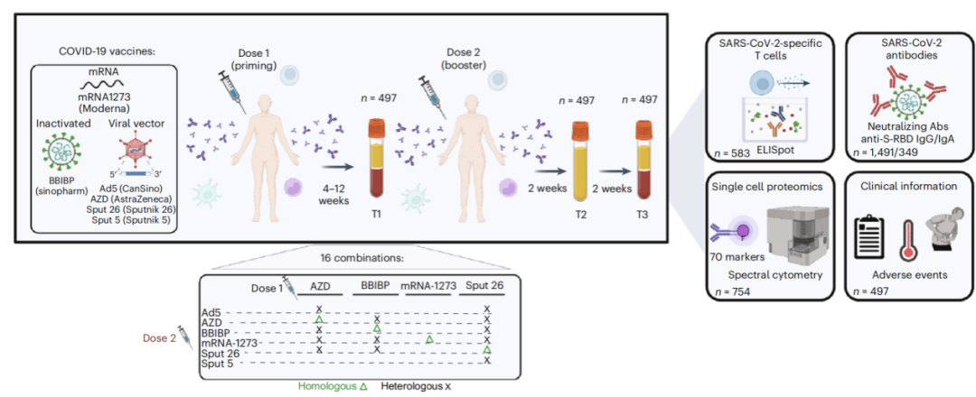 Nature Immunology | 新冠序贯接种方案诱导免疫应答差异全面分析