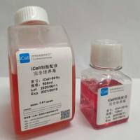 T84 细胞专用培养基/镜像绮点（Cellverse）