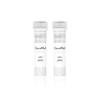 人乳头瘤病毒核酸检测质控品