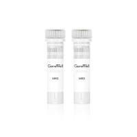 肿瘤微小残留病灶检测 ctDNA质控品套装