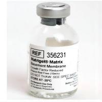 Matrigel® 生长因子减量(GFR) 基底膜基质,不含酚红,不含LDEV,10 mL