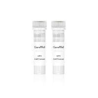 人乳头瘤病毒（HPV）细胞质控品