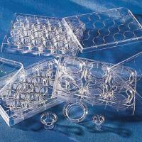 Corning 3452 Transwell嵌套,含6孔板 (PET膜,24mm,3.0um)