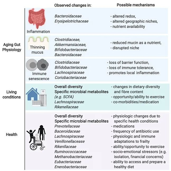 长生的秘密：肠道菌群代谢组学
