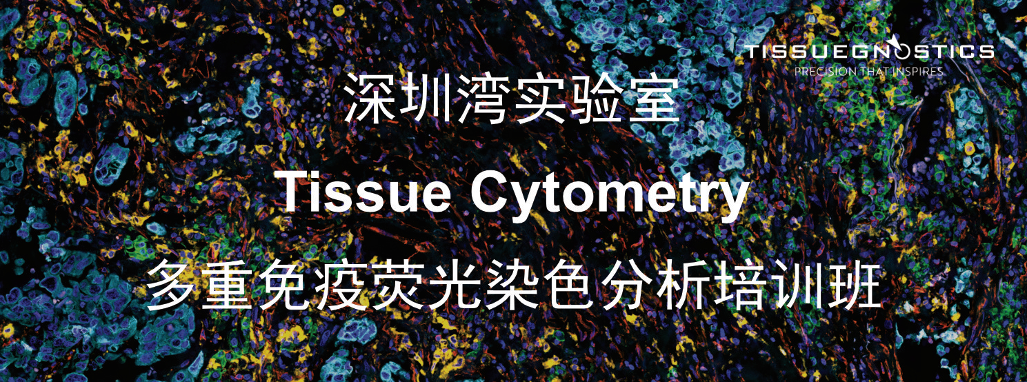 深圳湾实验室Tissue Cytometry多重免疫荧光染色分析培训班圆满收官