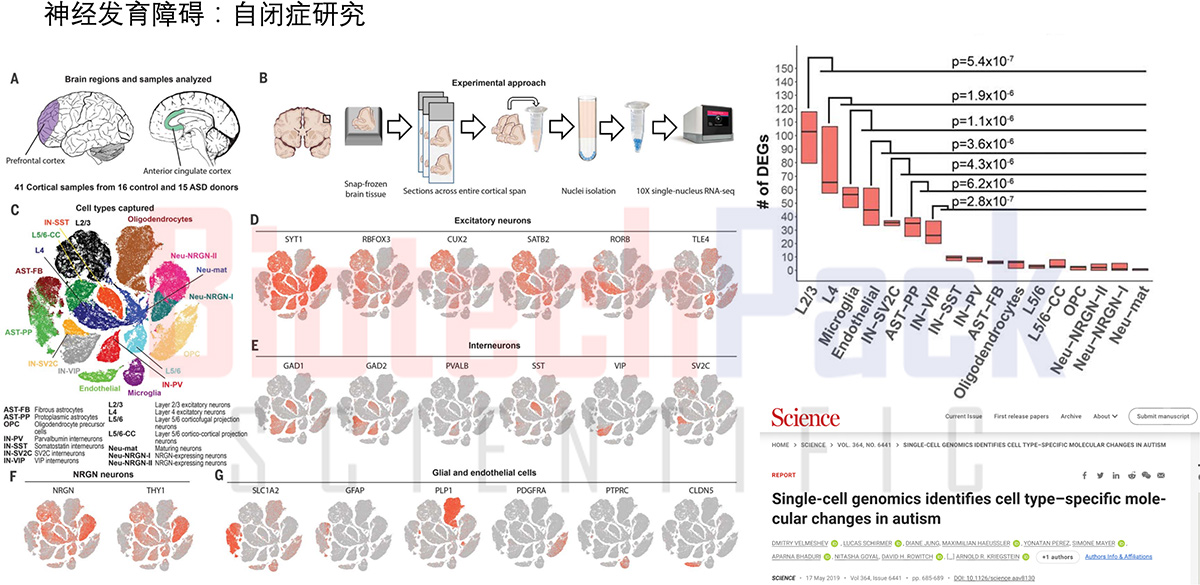 单细胞测序_单细胞测序技术_10x genomics单细胞测