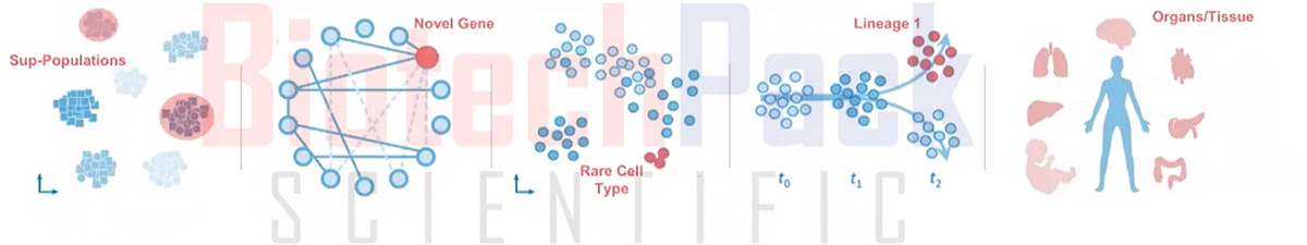 单细胞测序_单细胞测序技术_10x genomics单细胞测