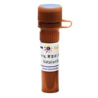 Vatalanib (VEGFR抑制剂)