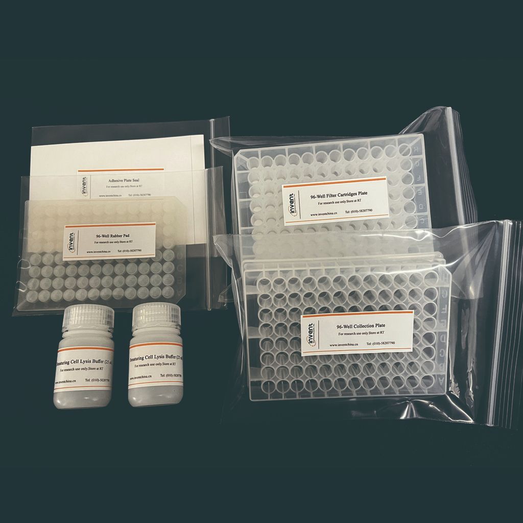 Invent ® 高通量柱式法细胞总蛋白提取试剂盒 （96孔）IN-WB96001