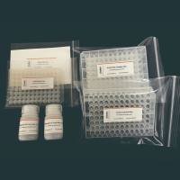 Invent ® 高通量柱式法细胞总蛋白提取试剂盒 （96孔）IN-WB96001