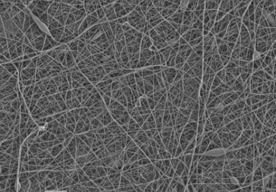 超低溶出的高端尼龙滤膜，解决HPLC中干扰峰的困扰