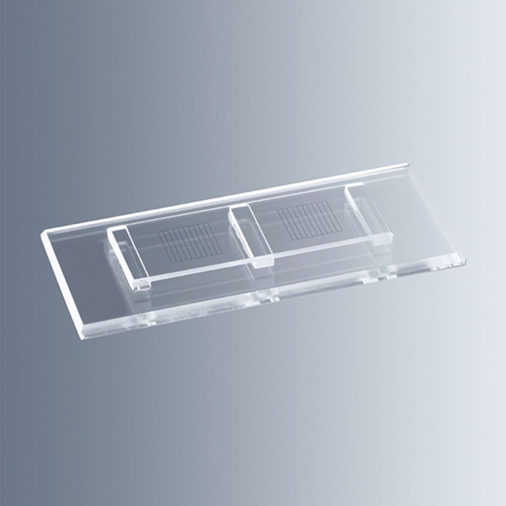 Marienfeld 0611240 虫卵计数板 McMaster，2计数区，含盖玻片