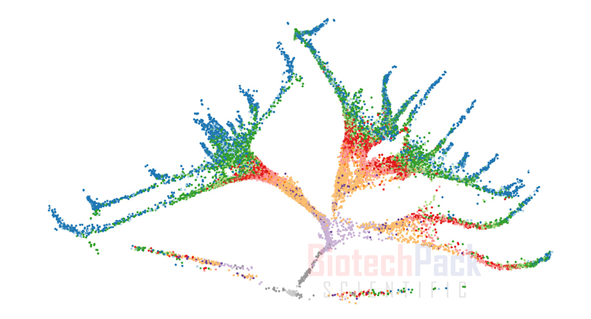 单细胞测序_单细胞测序技术_10x genomics单细胞测