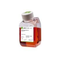 Gibco 25200-072 胰酶细胞消化液（0.25%胰酶，含EDTA，含酚红）