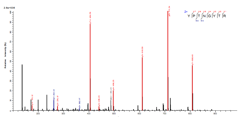 蛋白从头测序和突变分析