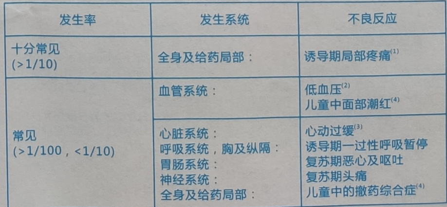 图片预览