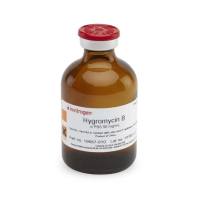 Gibco 10687-010 潮霉素 B (50 mg/mL)