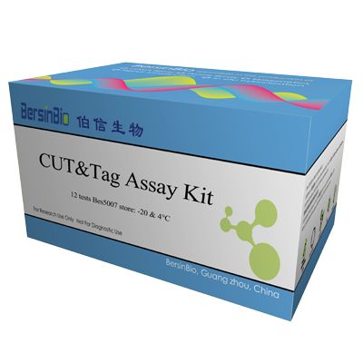 CUT&Tag试剂盒（CUT&Tag Assay Kit 12T）