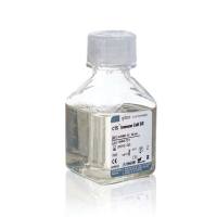 Gibco A2596101 CTS 免疫细胞血清替代物