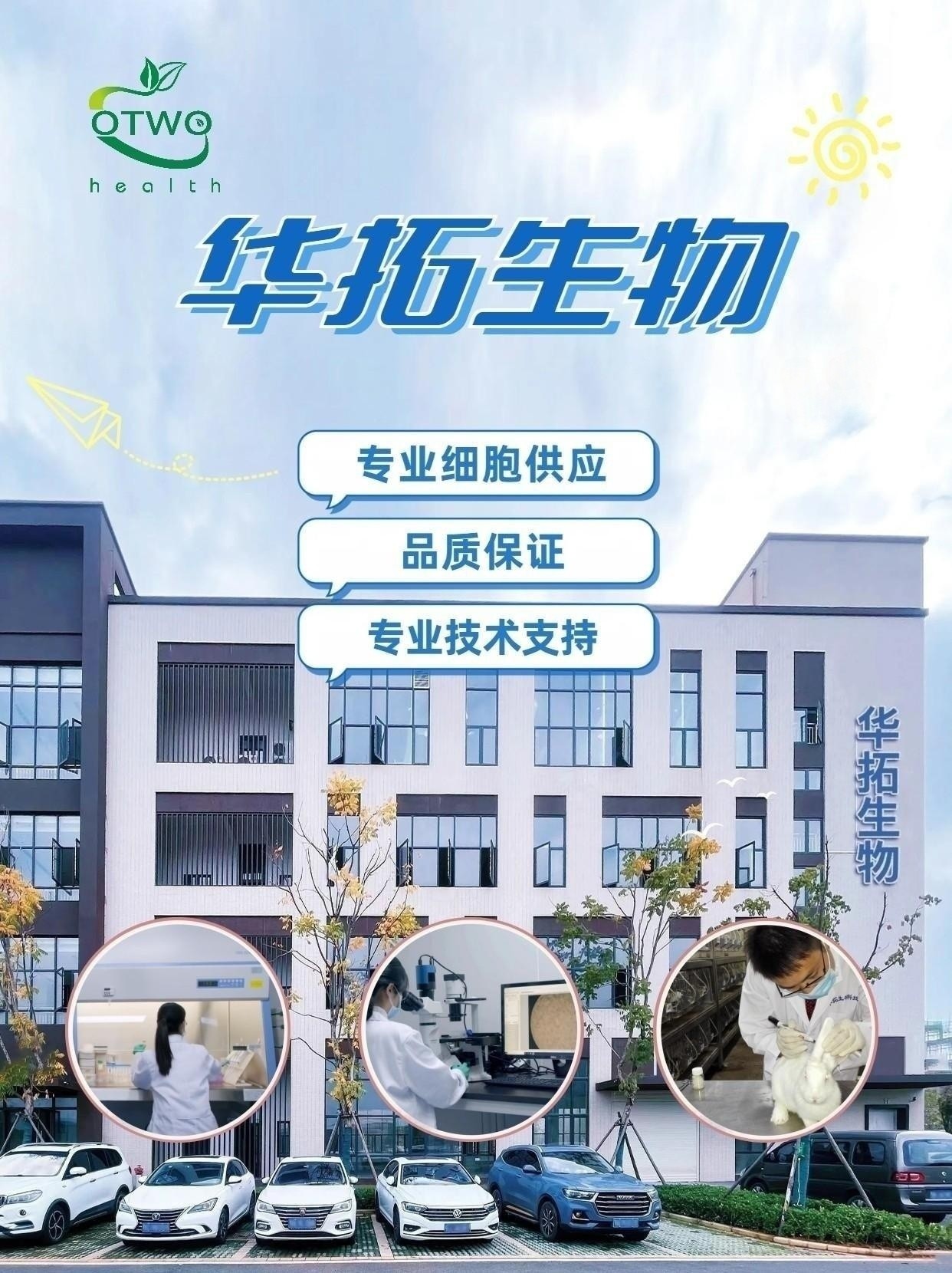 MC/9小鼠肥大细胞|MC9细胞|小鼠肥大细胞系