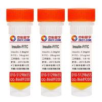 胰岛素-FITC（荧光素标记牛胰岛素）厂家供应