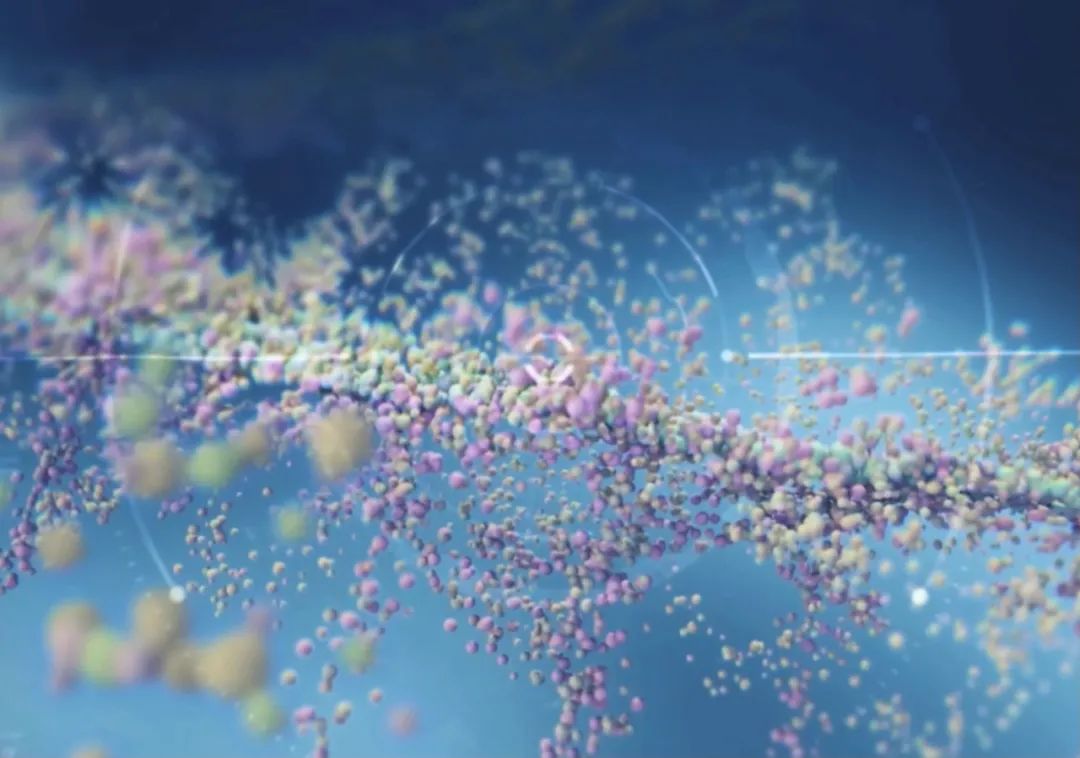 聚乙二醇化在医疗领域的应用—长效G-CSF