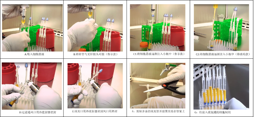 【分享】人间充质间质细胞的冻存和复苏