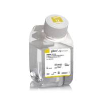 Gibco 21041-025 DMEM/F-12培养基(含L-谷氨酰胺,不含HEPES,酚红)