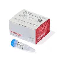 Gibco 13778-030 Lipofectamine RNAiMAX 转染试剂