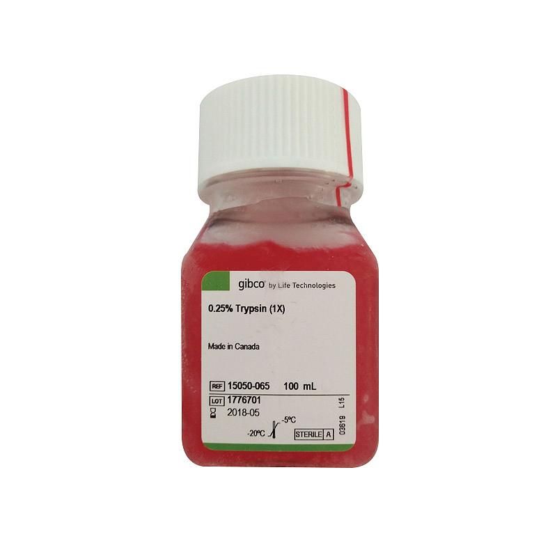 Gibco 15050-065 胰酶细胞消化液（0.25%胰酶，不含EDTA，含酚红）