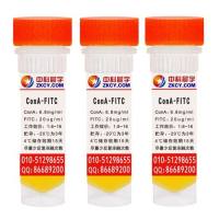 刀豆球蛋白A-FITC,厂家供应ConA-FITC