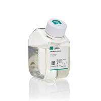 Gibco 11835-030 RPMI1640培养基(含L-谷氨酰胺,不含HEPES,酚红)